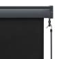 Preview: Außenrollo 160x250 cm Anthrazit
