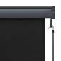 Preview: Außenrollo 60 x 250 cm Anthrazit