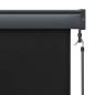 Preview: Außenrollo 60 x 250 cm Anthrazit