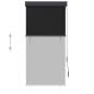 Preview: Außenrollo 80 x 250 cm Anthrazit