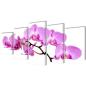 Preview: ARDEBO.de - Bilder Dekoration Set Orchidee 100 x 50 cm