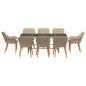 Preview: 9-teiliges Garten Esstisch Set Beige Poly Rattan