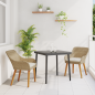 Preview: Garten Essgruppe mit Kissen 3 pcs Beige Poly-Rattan