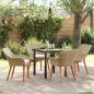 Preview: ARDEBO.de - 5-teiliges Garten-Esszimmer Set Beigefarbenes Poly-Rattan