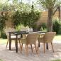 Preview: ARDEBO.de - 5-teilige Garten Essgruppe Beige Poly Rattan