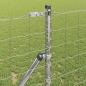 Preview: Eurozaun mit 7 Pfosten 1x10 m Verzinkter Stahl