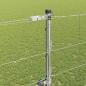 Preview: Schweißdrahtzaun mit Spikes 50 x 1,5 m Verzinkter Stahl Silber