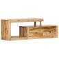 Preview: TV-Schrank 120x30x40 cm Massivholz Mango