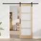 Preview: Schiebetür mit Hardware Set 'ORKDAL'78x202 cm