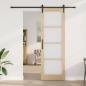 Preview: Schiebetür mit Hardware-Set 'ORKDAL'78x232 cm