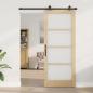 Preview: Schiebetür mit Hardware-Set 'ORKDAL'86x211 cm