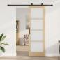 Preview: Schiebetür mit Hardware-Set 'ORKDAL'78x232 cm