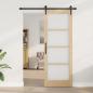 Preview: Schiebetür mit Hardware-Set 'ORKDAL'78x211 cm