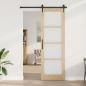 Preview: Schiebetür mit Hardware-Set 'ORKDAL'78x232 cm