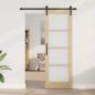 Preview: Schiebetür mit Hardware-Set 'ORKDAL'73,5x211 cm