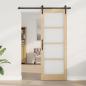 Preview: Schiebetür mit Hardware Set 'ORKDAL'78x211 cm
