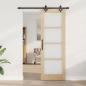 Preview: Schiebetür mit Hardware-Set 73.5x211 cm Massivholz Kiefer