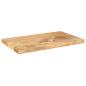 Preview: Tischplatte 40x20x2,5 cm Rechteckig Massivholz Mango