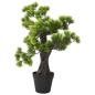 Preview: Künstlicher Bonsai Pinus mit Topf 60 cm Grün