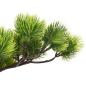 Preview: Künstlicher Bonsai Pinus mit Topf 60 cm Grün