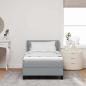 Preview: Boxspringbett mit Matratze Hellgrau 100x200 cm Stoff