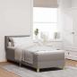 Preview: ARDEBO.de - Boxspringbett mit Matratze Taupe 80x200 cm Stoff