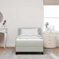Preview: Boxspringbett mit Matratze Hellgrau 100x200 cm Samt