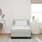 Preview: Boxspringbett mit Matratze Hellgrau 90x190 cm Samt
