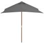Preview: Sonnenschirm mit Holz-Mast 150x200 cm Anthrazit