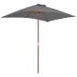 Preview: Sonnenschirm mit Holz-Mast 150x200 cm Anthrazit