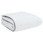 Preview: Winterbettdecke Weiß 240 x 260 cm 105gsm Pfirsich-Polyester