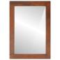 Preview: Spiegel Braun, Silber 50 x 2,5 x 70 cm Massives Mangoholz, Glas