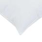 Preview: Kissen 2 pcs Weiß 60 x 60 cm 130gsm 100% Baumwolle