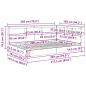 Preview: Bücherregal Bett mit Regal 2 pcs Betongrau 160 x 200 cm Melamin