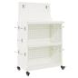 Preview: Werkzeugwagen mit Regal mit Rad mit Speicher Weiß 65 x 35 x 111 cm Metall