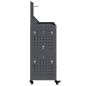 Preview: Werkzeugwagen mit Regal mit Rad mit Speicher Anthrazit 65 x 35 x 111 cm