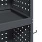 Preview: Werkzeugwagen mit Regal mit Rad mit Speicher Anthrazit 65 x 35 x 111 cm