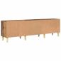 Preview: TV-Schränk Altholz 150 x 30 x 44.5 cm Holzwerkstoff