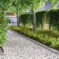 Preview: Rasenrand Silber 450 x 10 cm Verzinkter Stahl