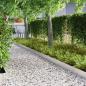 Preview: Rasenrand Silber 450 x 15 cm Edelstahl