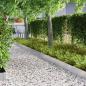 Preview: Rasenrand Silber 450 x 25 cm Edelstahl