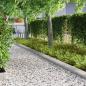 Preview: Rasenrand Silber 450 x 25 cm Verzinkter Stahl