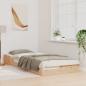 Preview: Bodenbettgestell Braun 100 x 220 cm Massivkiefer