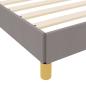 Preview: Boxspringbett Taupe, Braun 120 x 200 cm Stoff, Ingenieurholz
