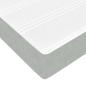 Preview: Boxspringbett mit Matratze Hellgrau 200 x 200 cm Samt