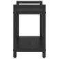 Preview: Bücherregal Schwarze Eiche 60 x 30 x 48,5 cm Holzwerkstoff