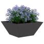 Preview: Kunststoff-Pflanzer 5 pcs Schwarz 35 x 35 x 15 cm Stahl