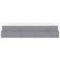 Preview: Bettgestell Sonstiges mit Speicher Hellgrau 180 x 200 cm Stoff