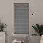 Preview: Fenster Jalousie mit Vorhängen Silber 80 x 130 cm Aluminium