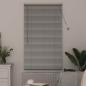 Preview: Fenster Jalousie mit Vorhängen Silber 80 x 130 cm Aluminium